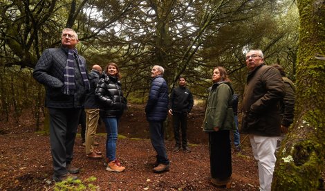 Es Andalucía - Málaga