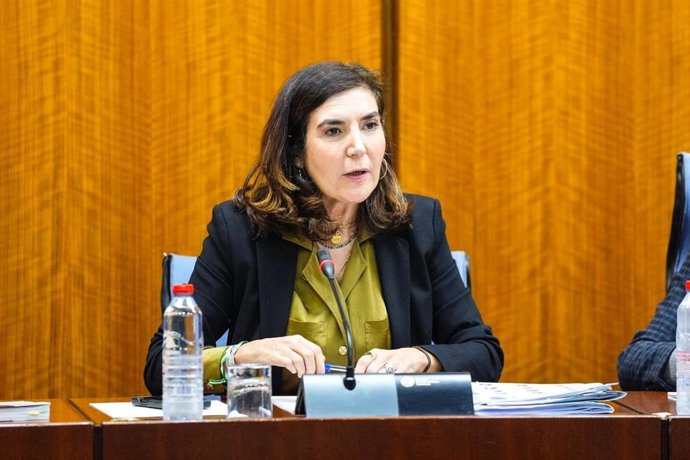La consejera de Empleo, Empresa y Trabajo Autónomo de la Junta de Andalucía, Rocío Blanco, en comisión parlamentaria sobre Derechos y Atención a las Personas con Discapacidad.