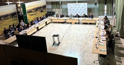 Es Andalucía - Sevilla