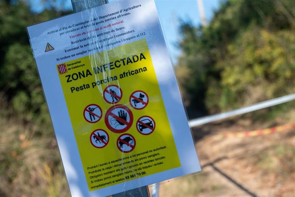 Zona en cuarentena por la Peste Porcina Africana en Cerdanyola del Valls, a 1 de diciembre de 2025, en Barcelona, Cataluña (España). El conseller de Agricultura, Ganadería y Pesca de la Generalitat, scar Ordeig, ha informado este domingo de que el Go