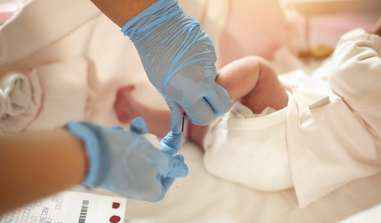 notibrasil sociedade