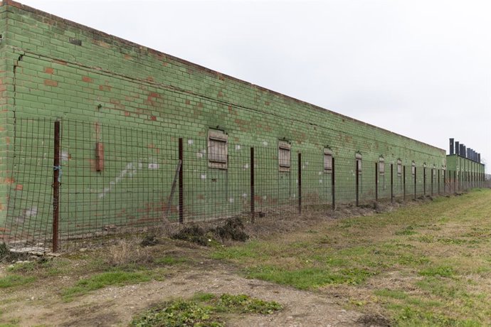 Una granja de porcs a Catalunya