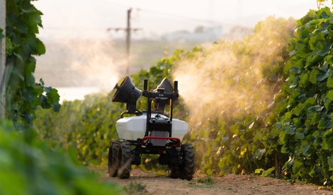 Comunicados Internacional