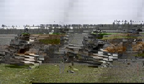 notibrasil política