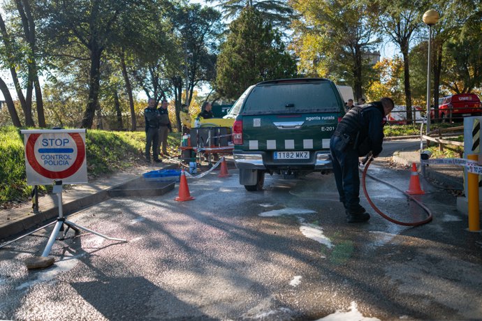 Efectivos de la UME en la zona en cuarentena por la Peste Porcina Africana en Torrefarrussa, a 1 de diciembre de 2025, en Barcelona, Cataluña (España).