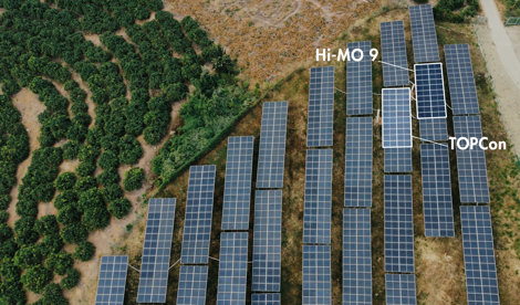 Comunicados Internacional