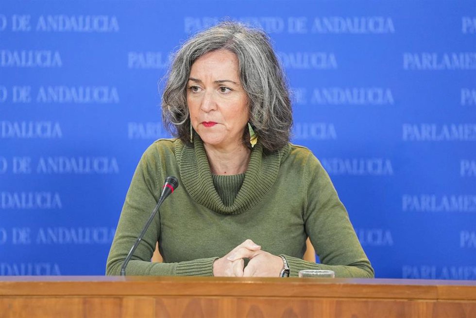 La portavoz adjunta del Grupo Mixto-AdelanteAndalucía, Begoña Iza, durante la ronda de ruedas de prensa de portavoces de los grupos parlamentarios en el Parlamento de Andalucía, a 2 de diciembre de 2025 en Sevilla (Andalucía, España). Los portavoces de 