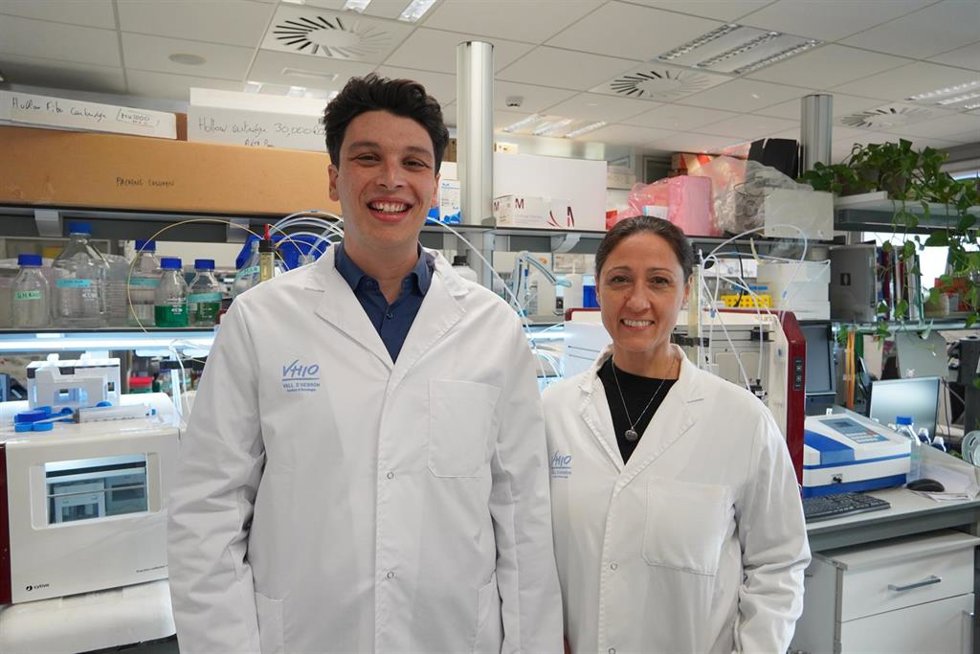Los investigadores