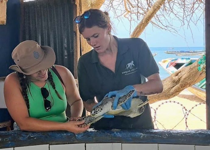 Proyecto de conservación de tortugas y aves marinas en África