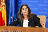 PSOE-A pide explicaciones a la Junta por "contratos con la trama corrupta de Almería" por procedimiento de emergencia