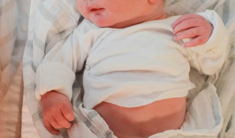 notibrasil sociedade