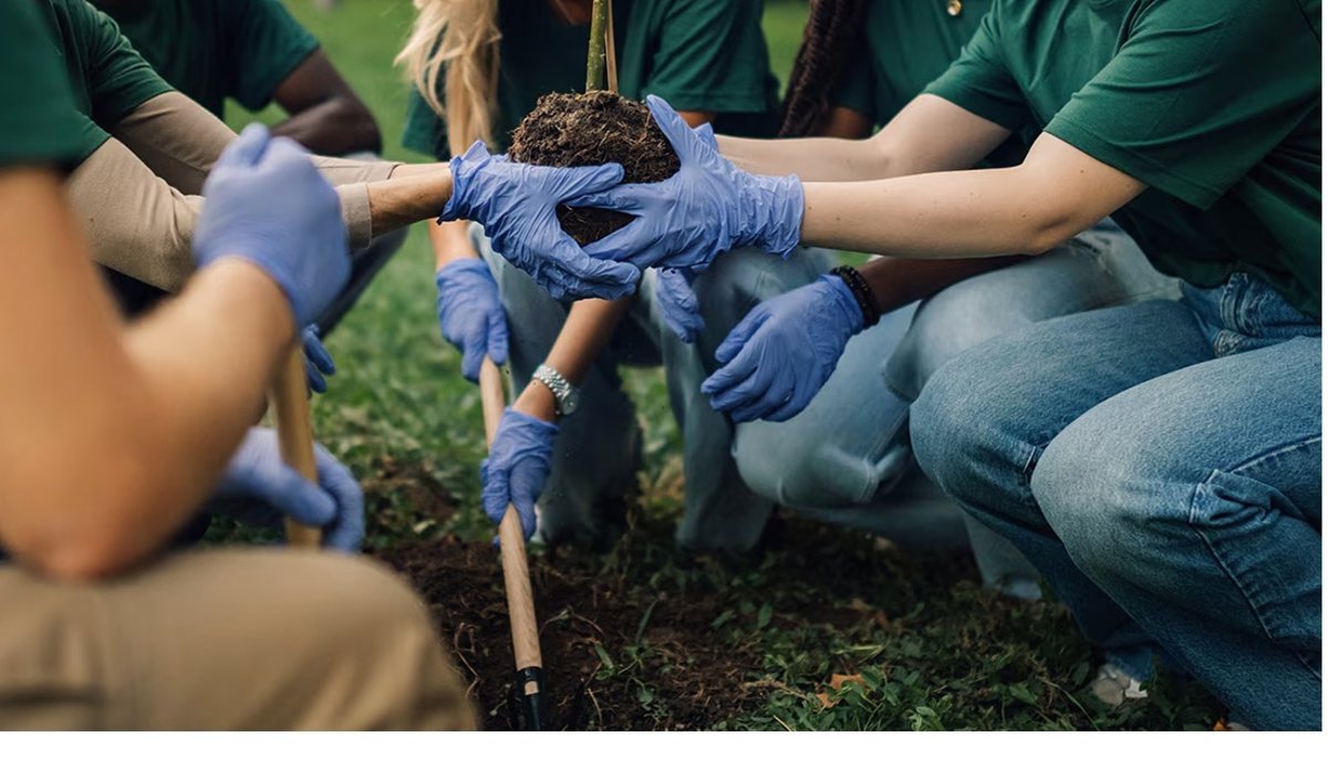BBVA destinará 300.000 euros a cuatro proyectos solidarios en su Junta General de Accionistas 2026