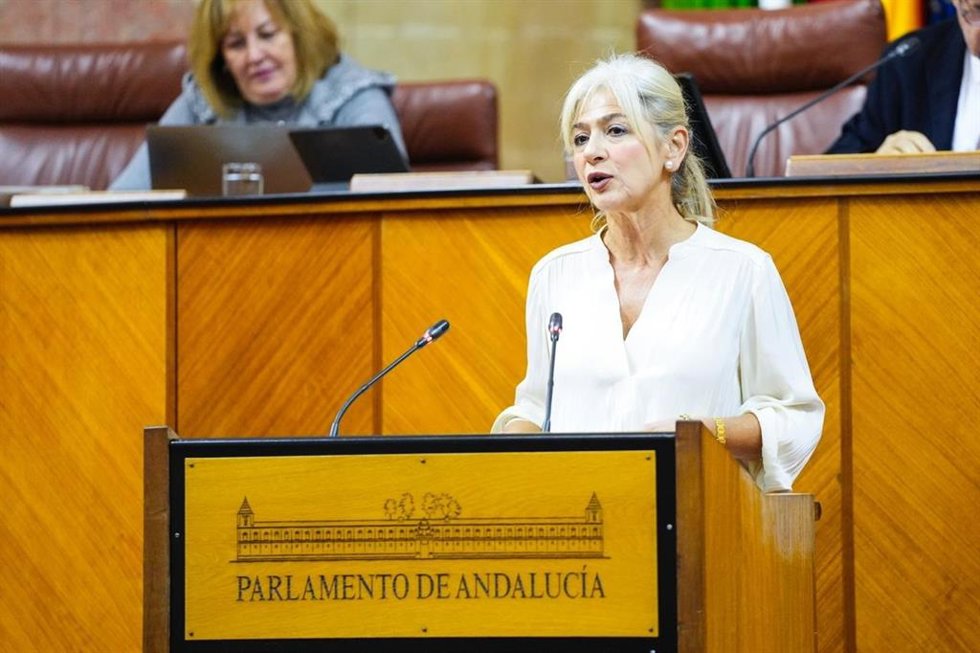 La consejera de Cultura, Patricia del Pozo, este martes en el Pleno del Parlamento durante el debate de la Interpelación sobre memoria.