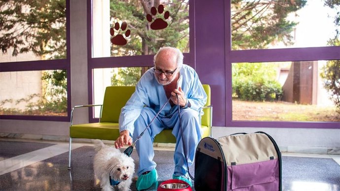 El Hospital de Getafe habilita una zona para que los pacientes puedan recibir la visita de sus perros
