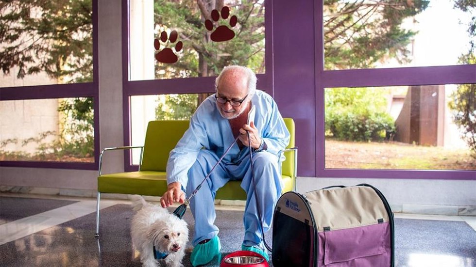 El Hospital de Getafe habilita una zona para que los pacientes puedan recibir la visita de sus perros