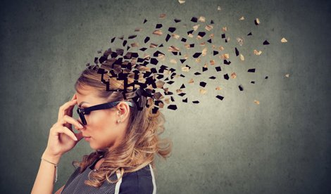 notibrasil sociedade