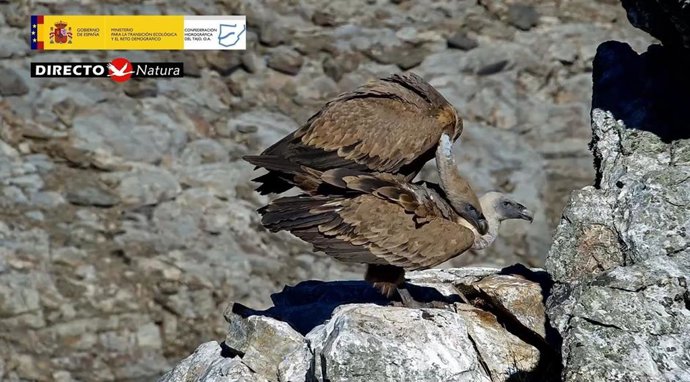 EL CHT pone en marcha el Observatorio del río Tajo en Monfragüe (Cáceres) que permite ver en tiempo real la evolución del entorno