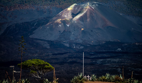 notibrasil sociedade
