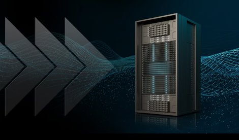 notibrasil sociedade