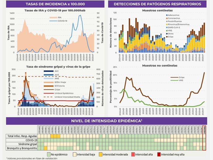 Datos del informe Vigira.