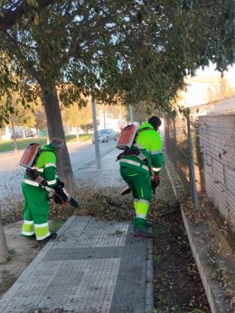 Dispositivo especial de refuerzo para la recogida de la hoja de los servicios de limpieza viaria.