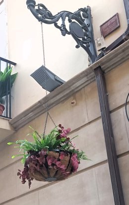 Un macetero colgante instalado en la calle Maestra.