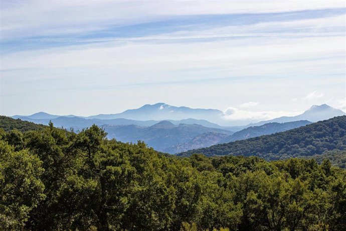 Archivo - Montes andaluces.