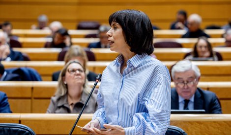 notibrasil sociedade