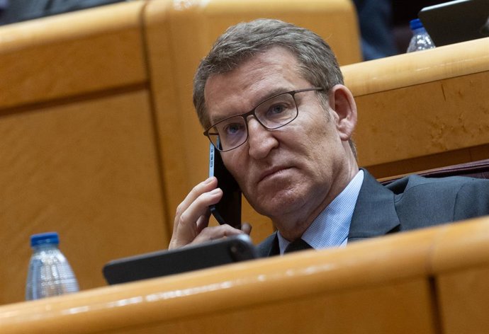 Archivo - El presidente del Partido Popular, Alberto Núñez Feijóo, durante la sesión extraordinaria del Congreso, en el Palacio del Senado, a 18 de enero de 2024, en Madrid (España). El Congreso de los Diputados aprueba hoy la iniciativa impulsada por el 
