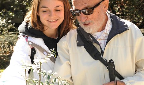 Cooperación y Desarrollo