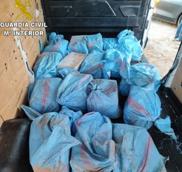 notibrasil política