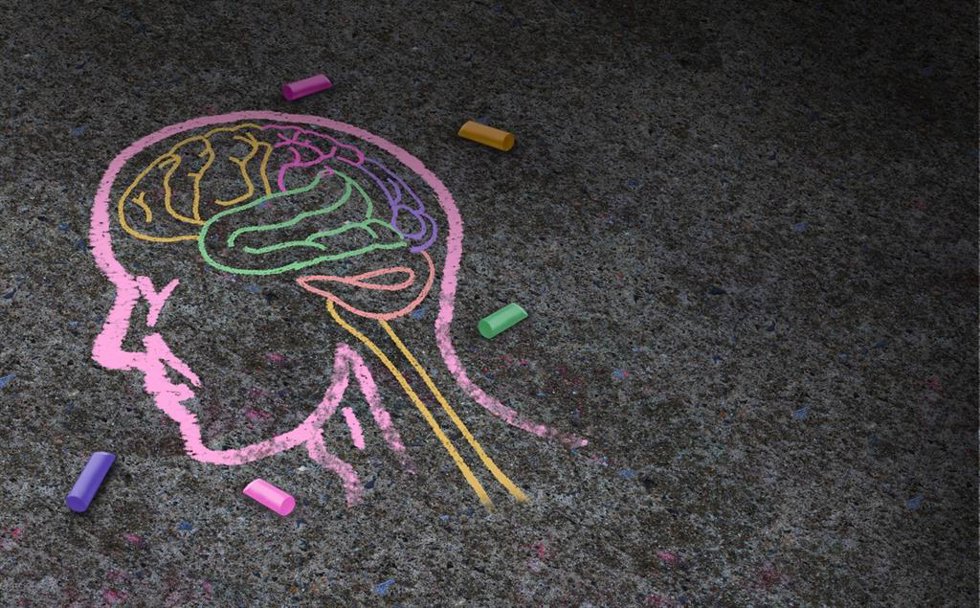 Archivo - Cerebro en la infancia