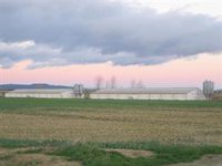 El Gobierno de Aragón urge a Planas y Aagesen a convocar una Conferencia Sectorial sobre la Peste Porcina Africana