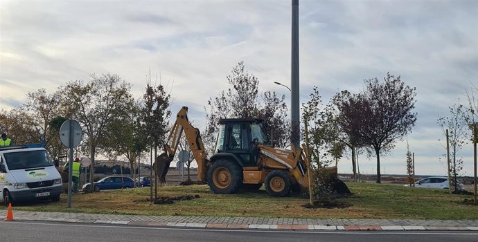 El Ayuntamiento de Salamanca arranca la plantación de 32.663 árboles