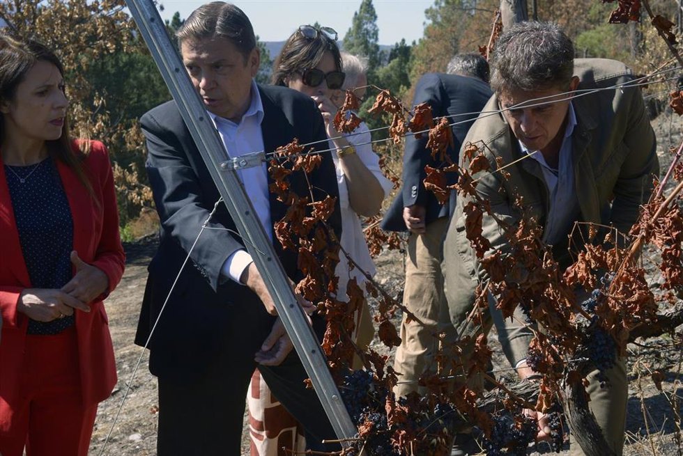Archivo - El ministro de Agricultura, Pesca y Alimentación, Luis Planas (c), visita explotaciones de las zonas afectadas por los grandes incendios de este verano, en A Rúa, Ourense, 