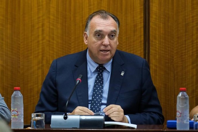 Archivo - Imagen de archivo del consejero de Turismo y Andalucía Exterior de la Junta de Andalucía, Arturo Bernal.