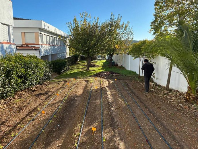 Un huerto escolar promovido por la Diputación de Badajoz.