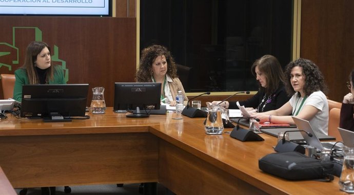 Estos colectivos han comparecido ante la Comisión de Igualdad