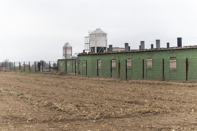 Granja de porcs a Catalunya