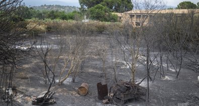 EpAgro - Agricultura