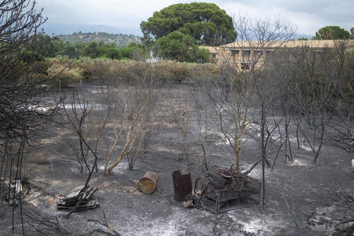 Archivo - Una zona afectada por el incendio de Xerta (Tarragona) este verano.