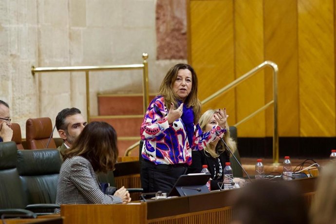 La consejera de Desarrollo Educativo y Formación Profesional de la Junta de Andalucía, María del Carmen Castillo, en el Parlamento.