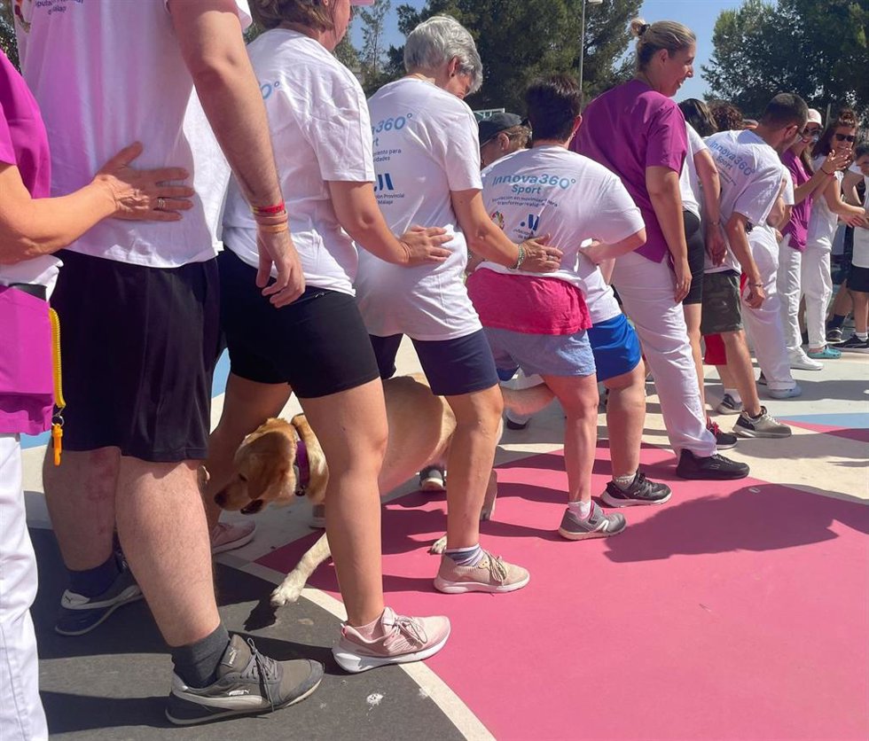 Más de 200 personas han participado este año en el programa de deporte inclusivo Innova 360 Sport que se ha desarrollado en el centro de Innovación Social de la Diputación de Málaga, La Noria.