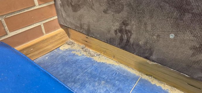 Suciedad denunciada públicamente por padres en el colegio Jacarandá de Sevilla.