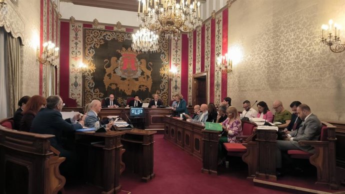 Archivo - Imagen de un pleno del Ayuntamiento de Alicante
