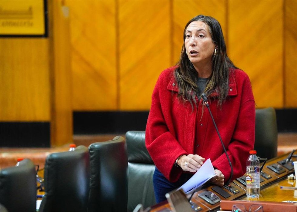 La consejera de Inclusión Social, Juventud, Familias e Igualdad de la Junta de Andalucía, Loles López, en la sesión de control del Parlamento andaluz.