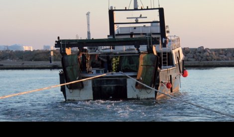 EpAgro - Unión Europea