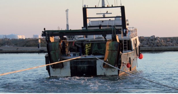 EpAgro - Unión Europea