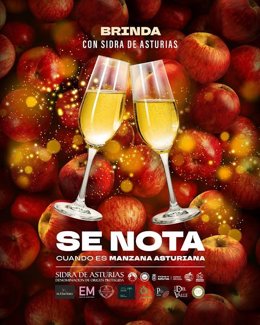 Cartel de la campaña