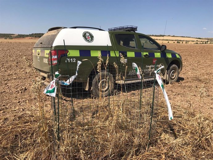 Archivo - Los agentes forestales de la Comunidad de Madrid